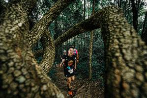 BIB: 
                            <button type="button" onclick="openModal(25675856)" class="btn btn-primary btn-sm float-right btn-popup" data-toggle="modal" data-target=".modal-high-quality">
                        <i class="fas fa-shopping-cart"></i> Add to Cart
                    </button>
                                            <button type="button" onclick="isThisMe(25675856, true)" class="btn btn-success btn-sm float-right btn-popup btn-isme hidden" data-toggle="tooltip" data-placement="bottom" title="นี่คือรูปของคุณใช่ไหม คลิกที่นี่เพื่อเอาเข้าอัลบั้ม">
                        <i class="fas fa-plus"></i> Add to album
                    </button>
                    <button type="button" onclick="isThisMe(25675856, false)" class="btn btn-warning btn-sm float-right btn-popup btn-isnotme hidden">
                        <i class="fas fa-ban"></i> Remove from album
                    </button>